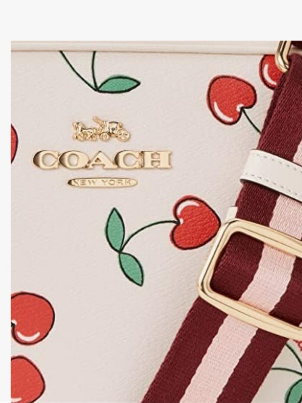 Coach Jamie Camera Bag with Heart Cherry Print ๐ - Picture 3 of 16